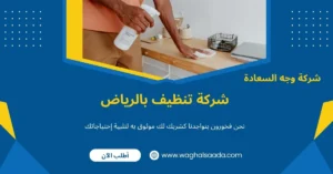 شركة تنظيف بالرياض