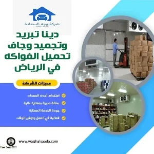 دينا تبريد وتجميد وجاف تحميل الفواكه في الرياض