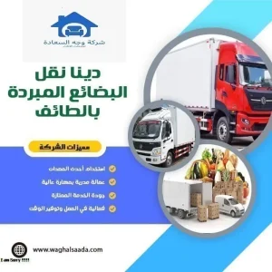 دينا نقل البضائع المبردة بالطائف