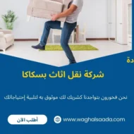 شركة نقل اثاث بسكاكا